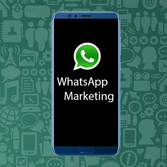 WhatsApp marketing Company in Chennai